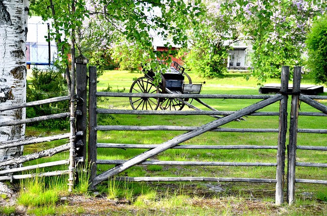 På tvers av grensen: Lokale uttrykk i svensk dagligtale